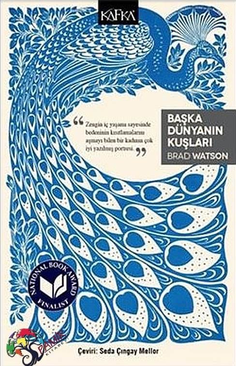 455667g-2 - Kopya Başka Dünyanın Kuşları-Brad Watson / 1.Baskı - Görsel 1