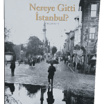 Nereye Gitti İstanbul-Aydın Boysan