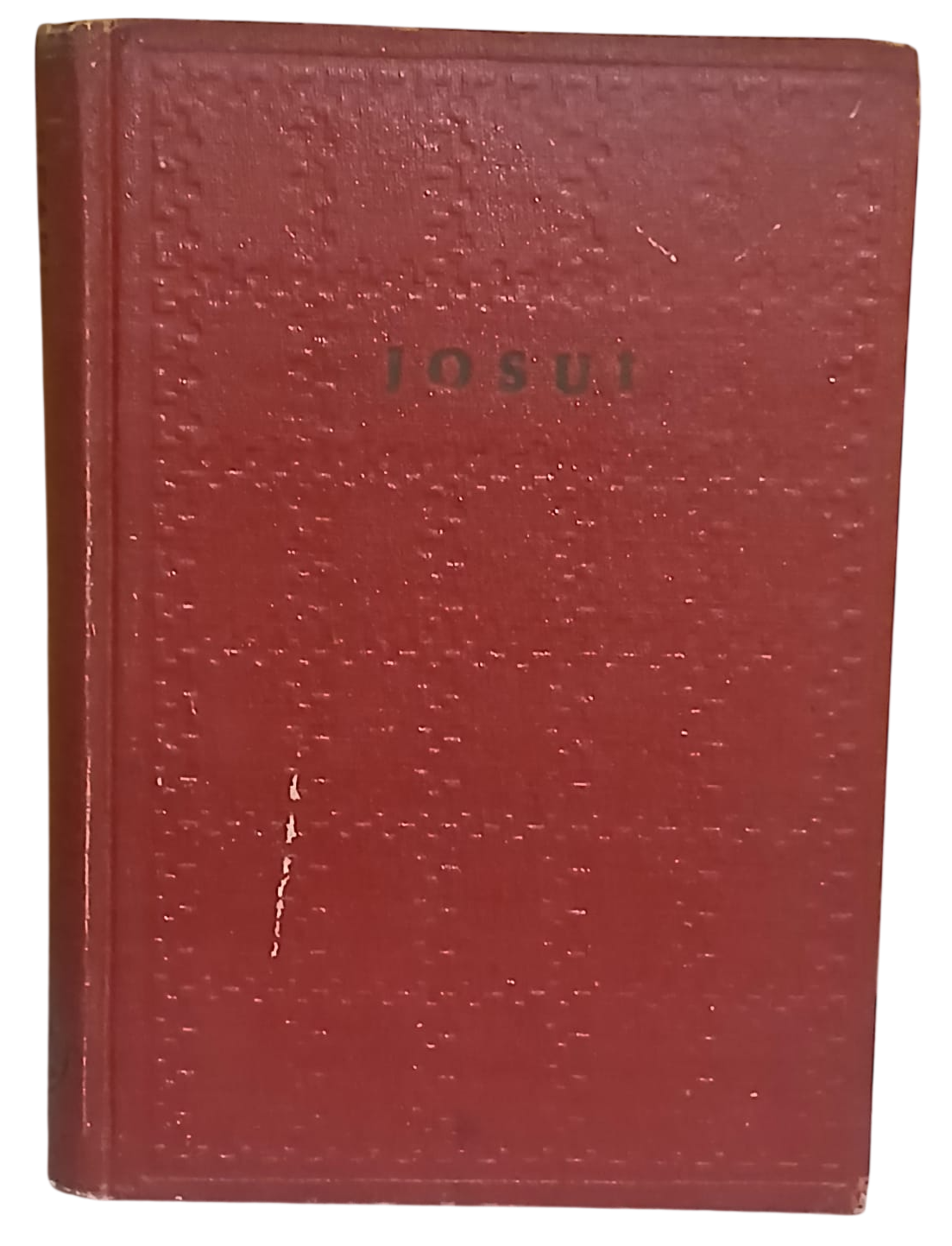 josuı-Photoroom Josui(Hidden Flower)-Pearl S.Buck - Görsel 1