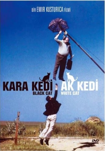 Kara Kedi Ak Kedi-Black Cat White Cat Dvd