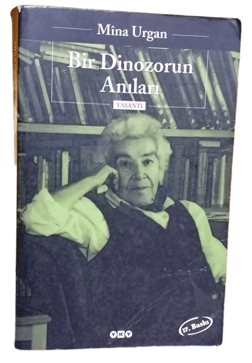 bir dinozor Bir Dinozorun Anıları-Mine Urgan - Görsel 1