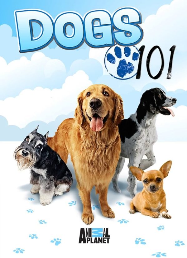 Animal Planet Dogs 101- 4 Disk 178 Dakika DVD Belgesel