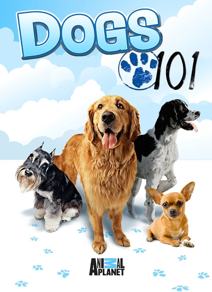 dogs 101 Animal Planet Dogs 101- 4 Disk 178 Dakika DVD Belgesel - Görsel 1