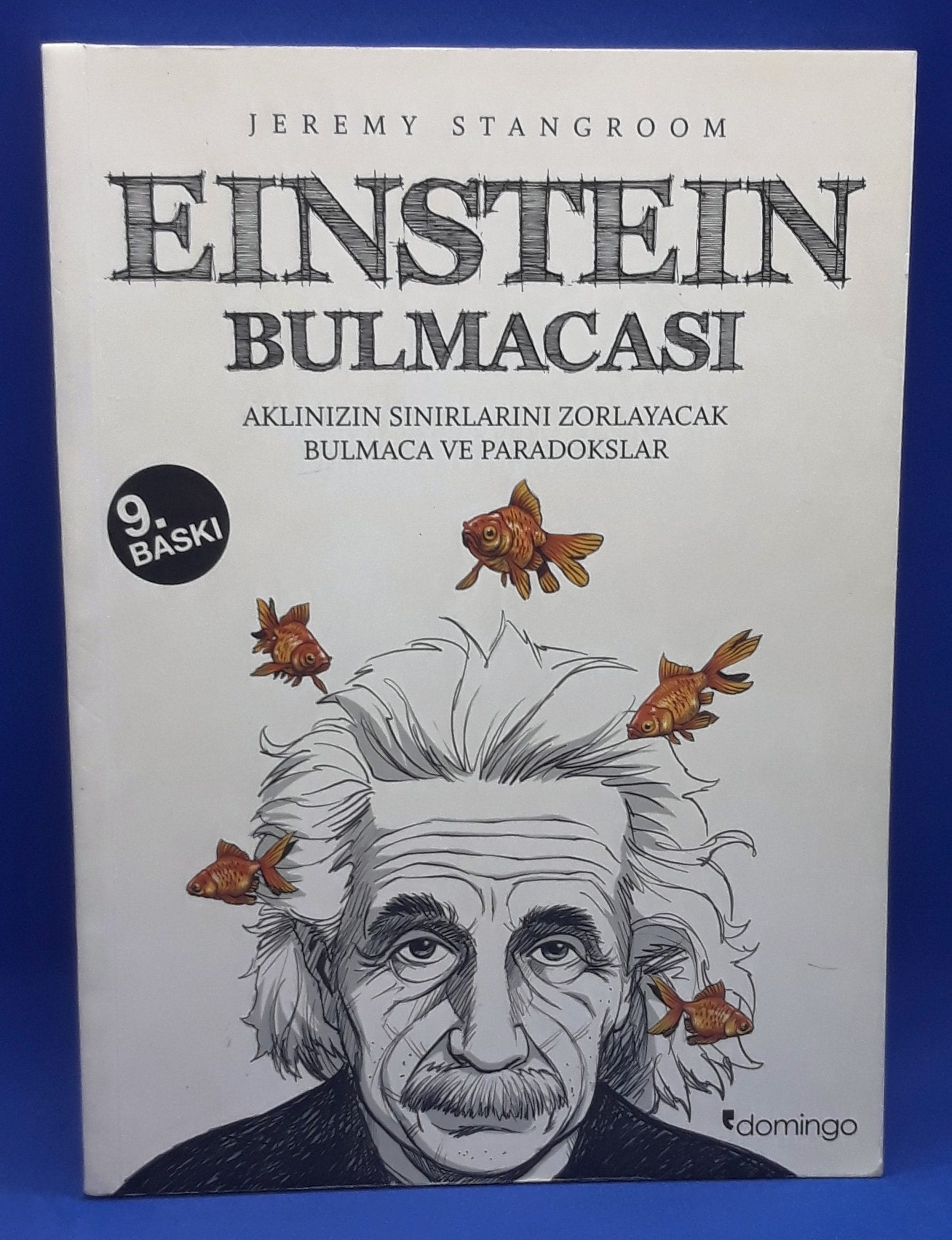 Einstein Bulmacası-Jeremy Stangroom