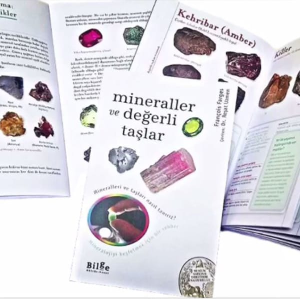 mineraller Mineraller ve Değerli Taşlar-François Farges - Görsel 1