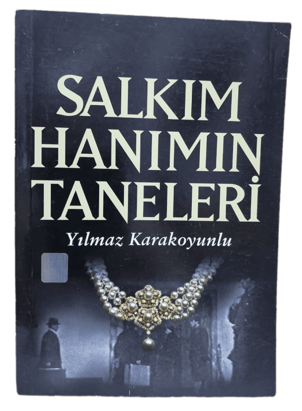 Salkım Hanımın Taneleri-Yılmaz Karakoyunlu