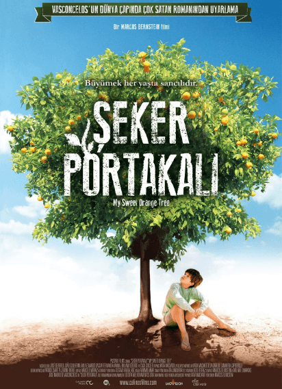 şeker portakalı 2 Şeker Portakalı-My Sweet Orange Tree Dvd - Görsel 1