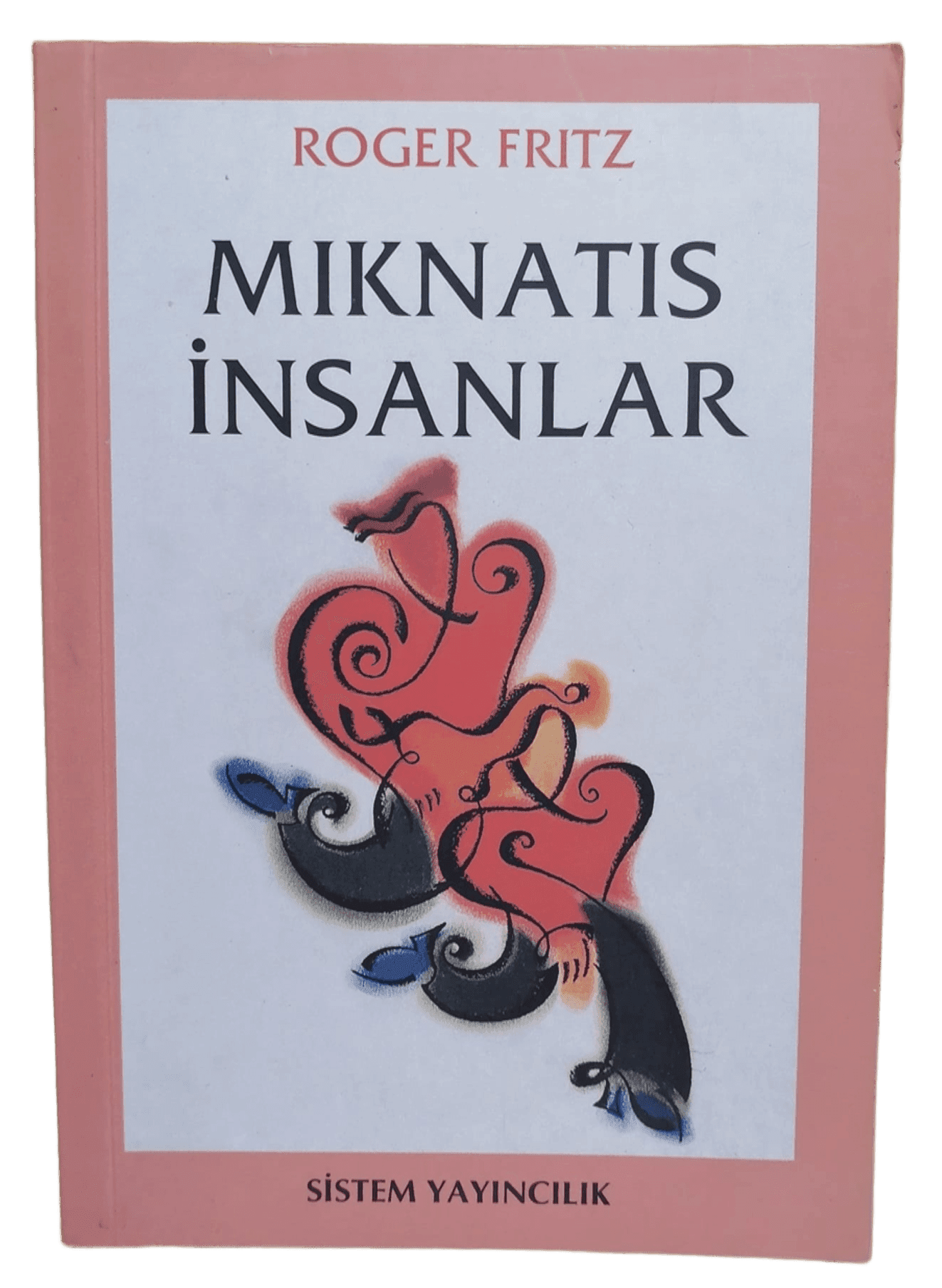 0ab329e9-1bb2-4093-9777-9eda3a5860ec Mıknatıs İnsanlar-Roger Fritz - Görsel 1