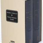 Kayıp Zamanın İzinde (Özel Kutulu, 2 Cilt Takım,Delta Serisi)-Marcel Proust