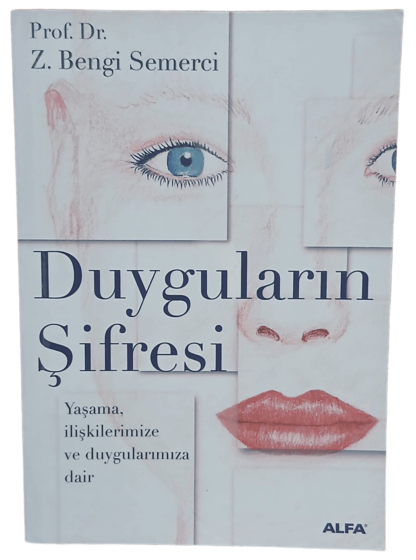 duygular Duyguların Şifresi-Prof. Dr. Z. Bengi Semerci - Görsel 1