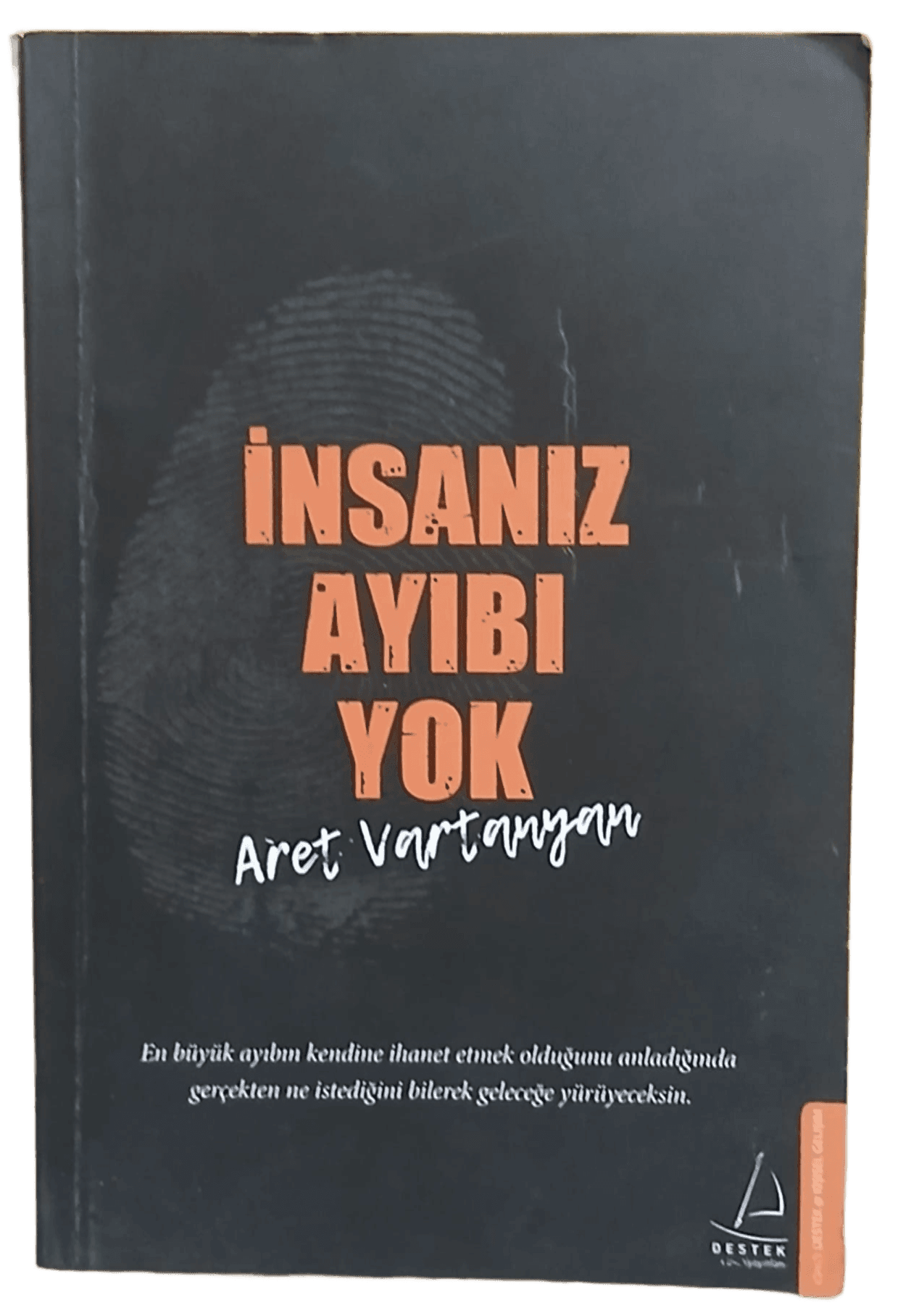 insanız (1) İnsanız Ayıbı Yok-Aret Vartanyan - Görsel 1
