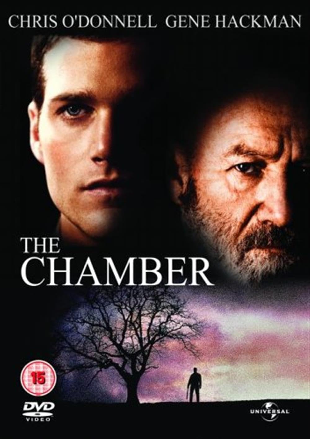 61MKDSuvYHL._AC_SL1416_ Büyük Sır-The Chamber Dvd - Görsel 1