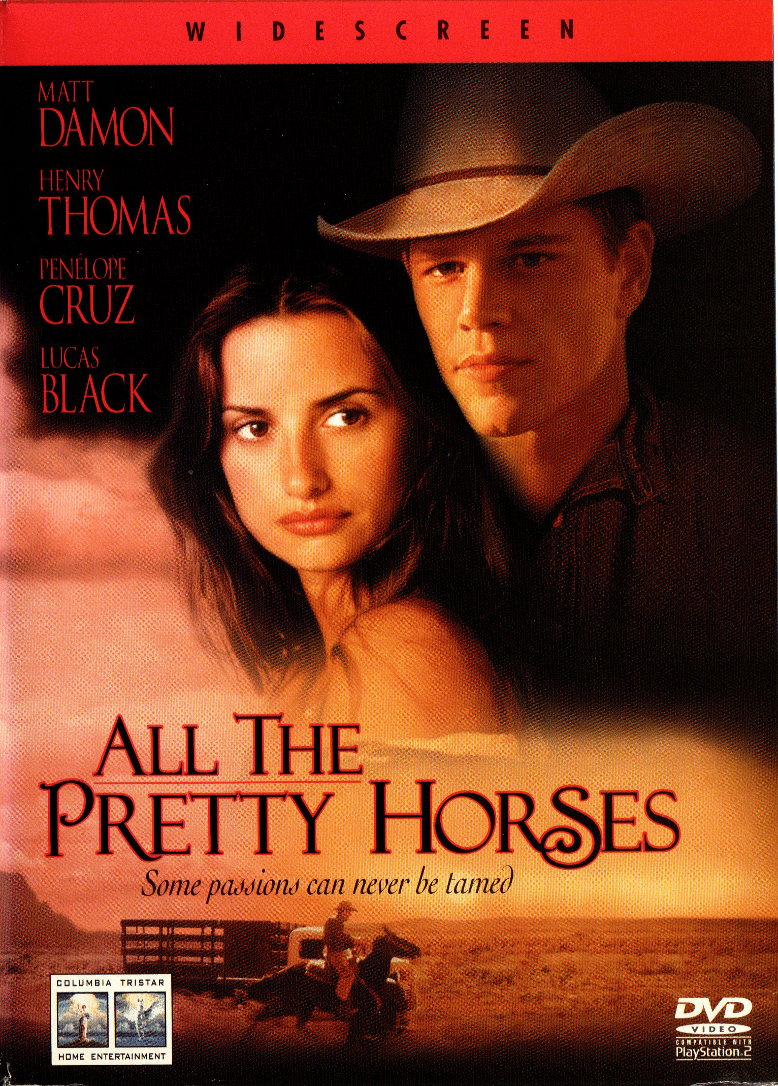 all the prety horses All The Pretty Horses Dvd - Görsel 1