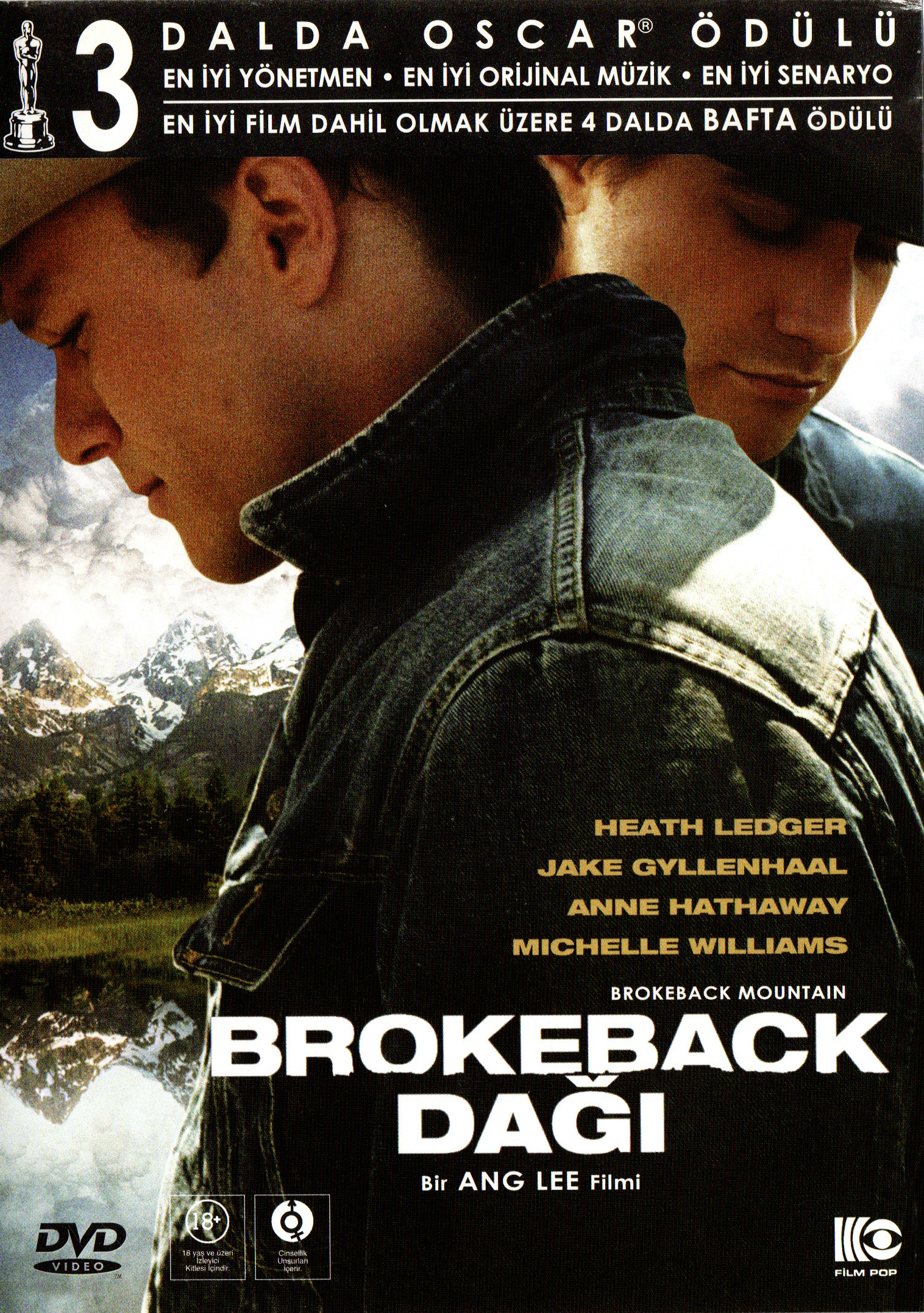 img20250723_17155951 Brokeback Dağı-Brokeback Mountain Dvd - Görsel 1