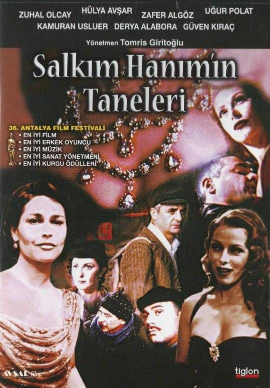 salkım hanımın taneleri Salkım Hanım'ın Taneleri Dvd - Görsel 1