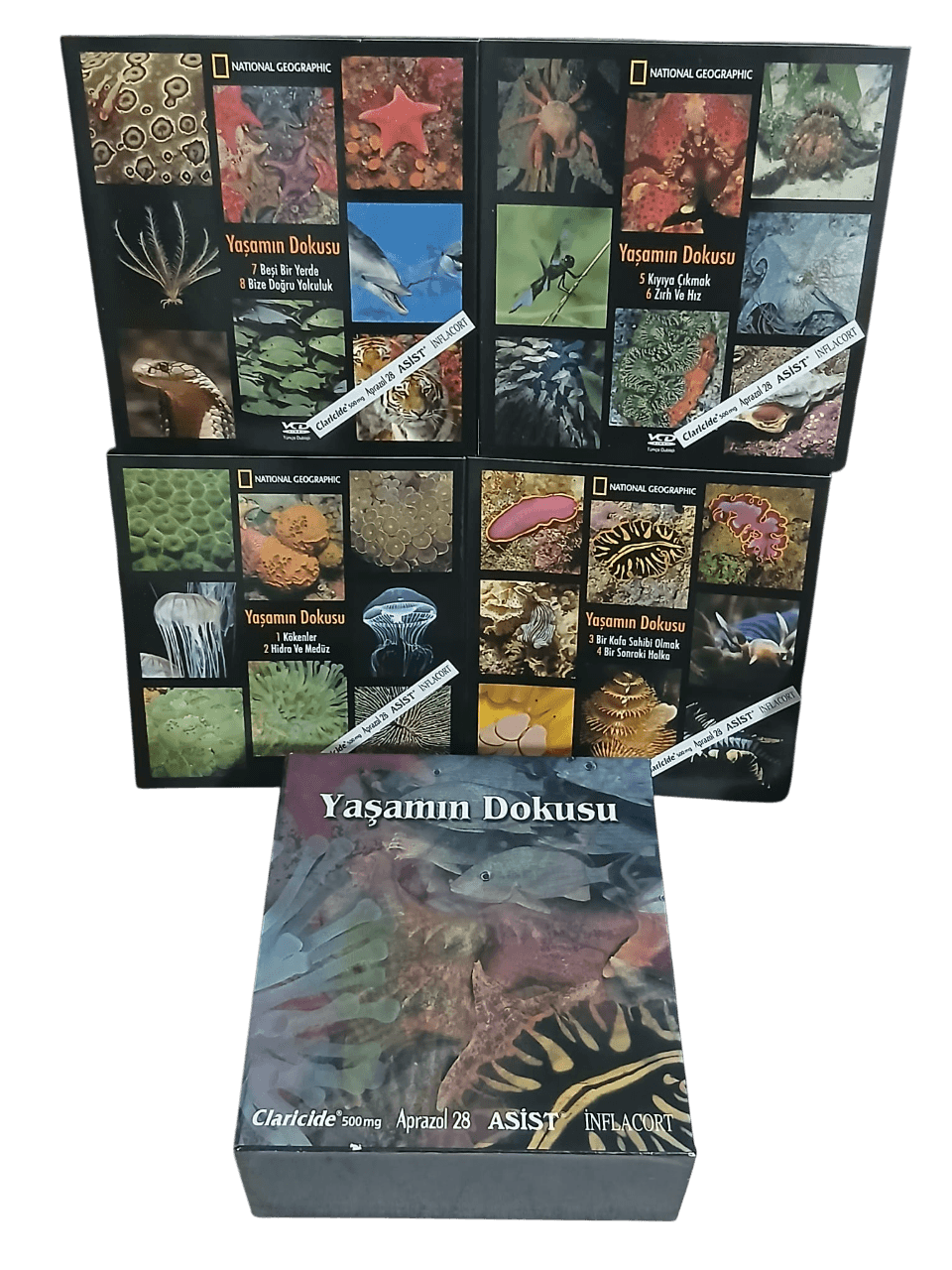yaşam5-Photoroom National Geographic Yaşamın Dokusu (Toplam 4 Kitap, 8 VCD) (Özel Kutusunda) - Görsel 1