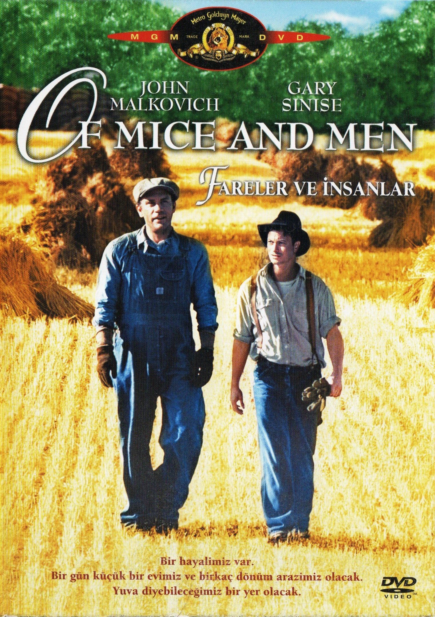 Fareler ve insanlar Fareler ve İnsanlar-Of Mice And Man Dvd - Görsel 1