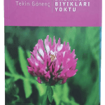Babamın Bıyıkları Yoktu-Tekin Gönenç
