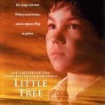 Küçük Ağacın Eğitimi-The Education Of Little Tree Dvd