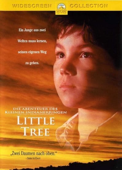 küçük ağacın eğitimi Küçük Ağacın Eğitimi-The Education Of Little Tree Dvd - Görsel 1