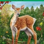The Yearling-Marjorie Kinnan Rawlings (+Audio Cd,Level 3,A2)