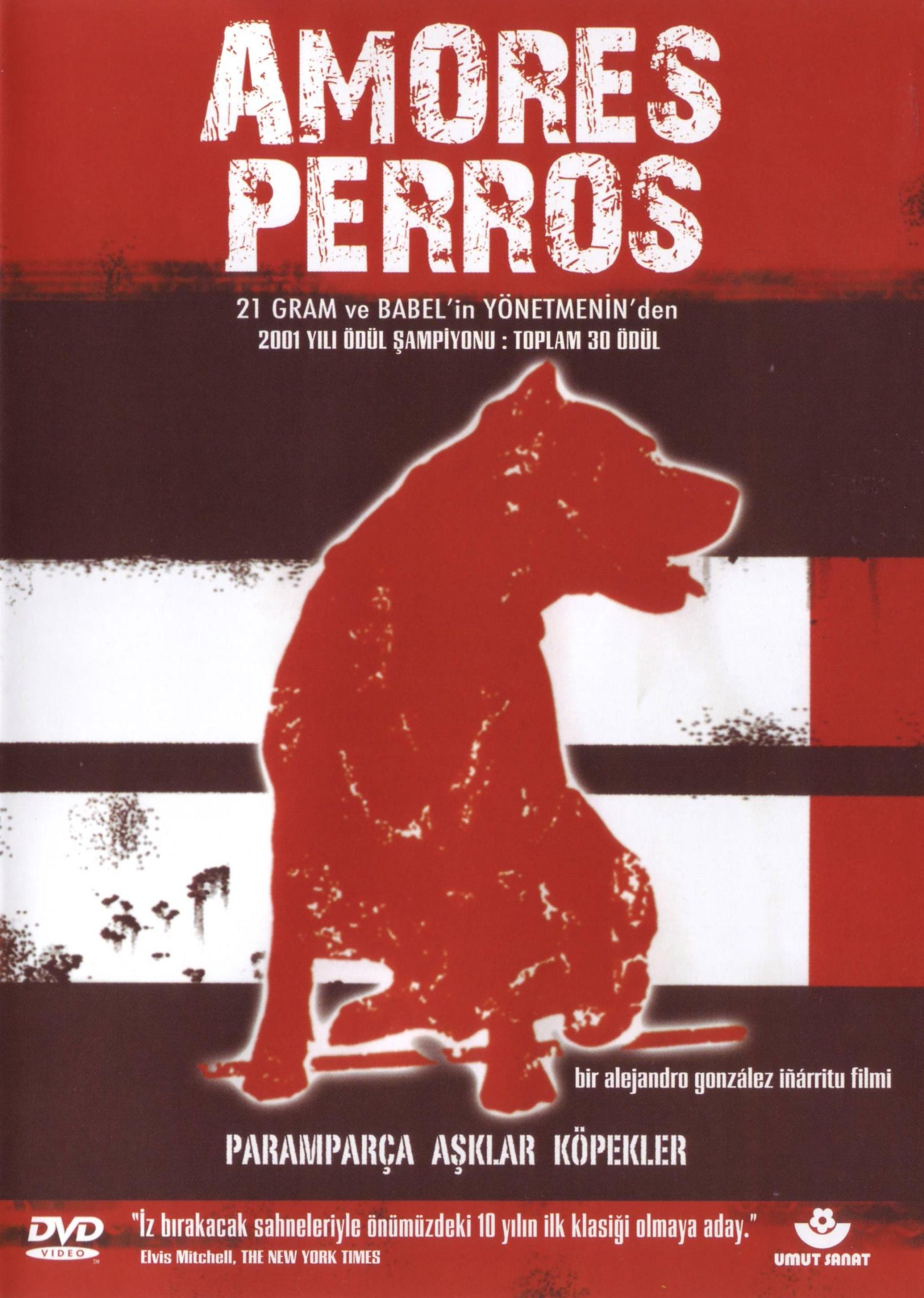 Amores Perros (Paramparça Aşklar Köpekler) Paramparça Aşklar Köpekler-Amores Perros Dvd - Görsel 1