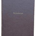 Bukalemun-İlhan Engin