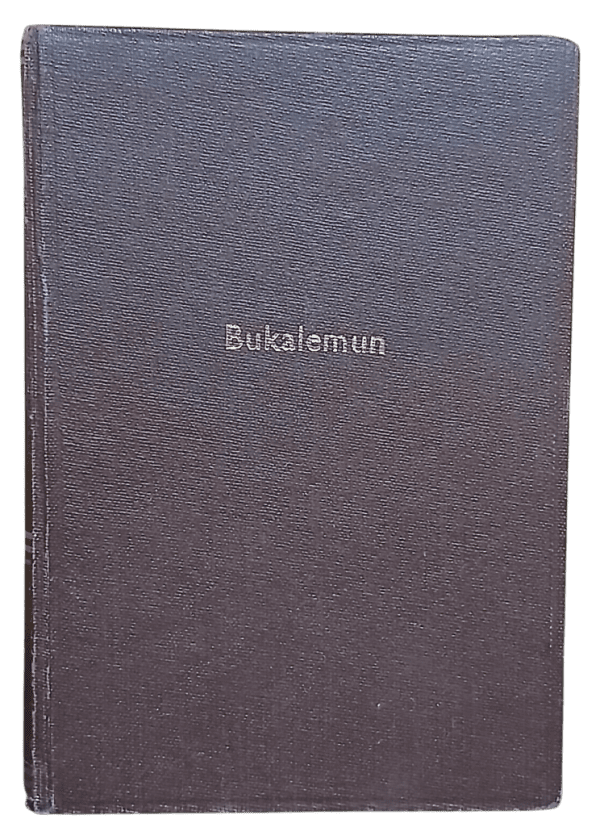 Bukalemun-İlhan Engin