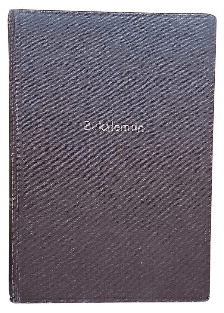 bukalemun-Photoroom Bukalemun-İlhan Engin - Görsel 1