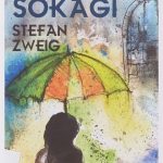 Ay Işığı Sokağı-Stefan Zweig
