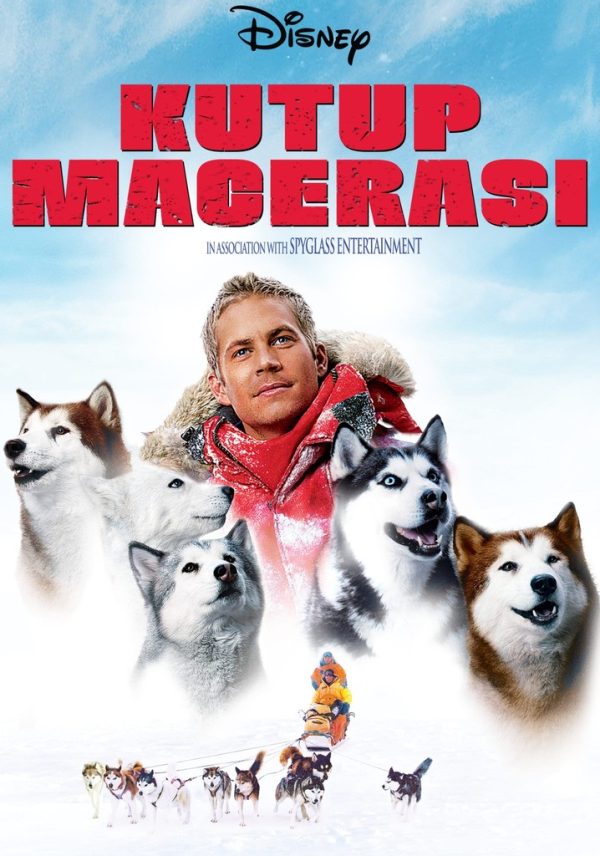 Kutup Macerası-Eight Below Dvd