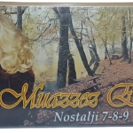 Muazzez Ersoy Nostalji 7- 8- 9 Kaset