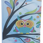 Baykuşlu Ciltli Defter 120 Yaprak Kareli Büyük Boy (Model 3)