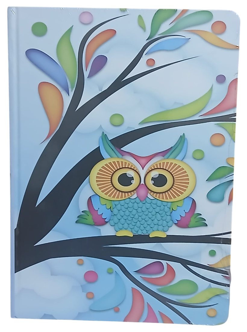 baykuş 1-Photoroom Baykuşlu Ciltli Defter 120 Yaprak Kareli Büyük Boy (Model 3) - Görsel 1