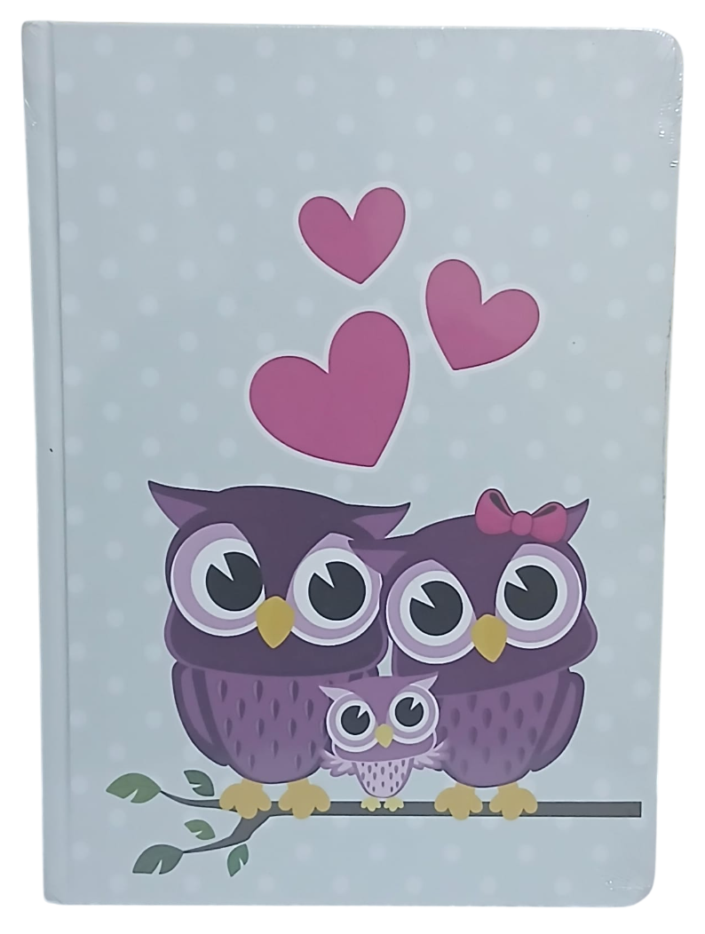 baykuş2-Photoroom Baykuşlu Ciltli Defter 120 Yaprak Kareli Büyük Boy (Model 2) - Görsel 1