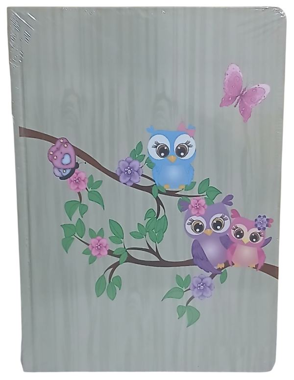 Baykuşlu Ciltli Defter 120 Yaprak Kareli Büyük Boy (Model 1)