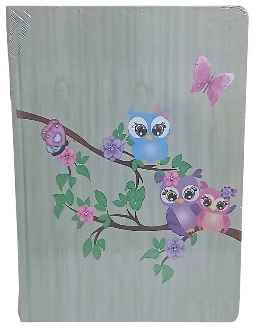 baykuş3-Photoroom Baykuşlu Ciltli Defter 120 Yaprak Kareli Büyük Boy (Model 1) - Görsel 1