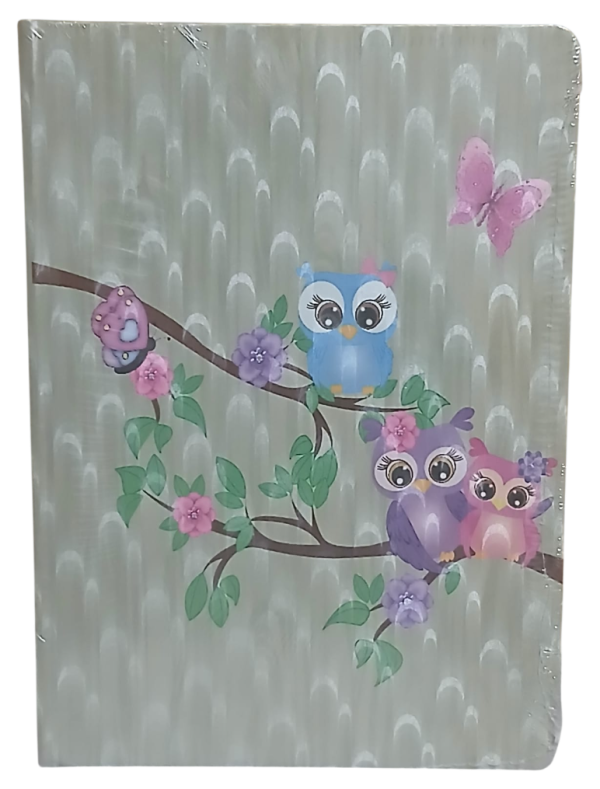Baykuşlu Ciltli Defter Desenli Kapak 120 Yaprak Çizgili Orta Boy (Model 2)