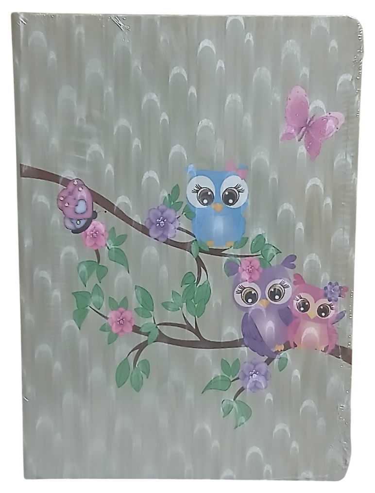baykuş5-Photoroom Baykuşlu Ciltli Defter Desenli Kapak 120 Yaprak Çizgili Orta Boy (Model 2) - Görsel 1
