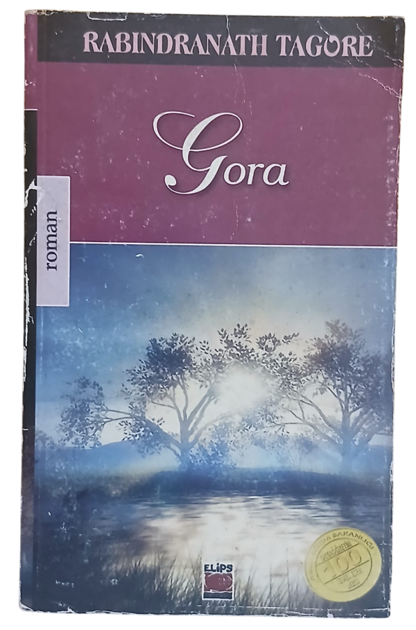 Gora-Rabindranath Tagore