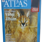 Atlas Coğrafya Dergisi Sayı 201 / Aralık 2009 Güney Afrika Vahşi Albüm