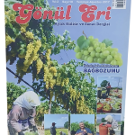 Gönül Eri Kültür ve Sanat Dergisi Sayı 10 / Temmuz-Ağustos 2017