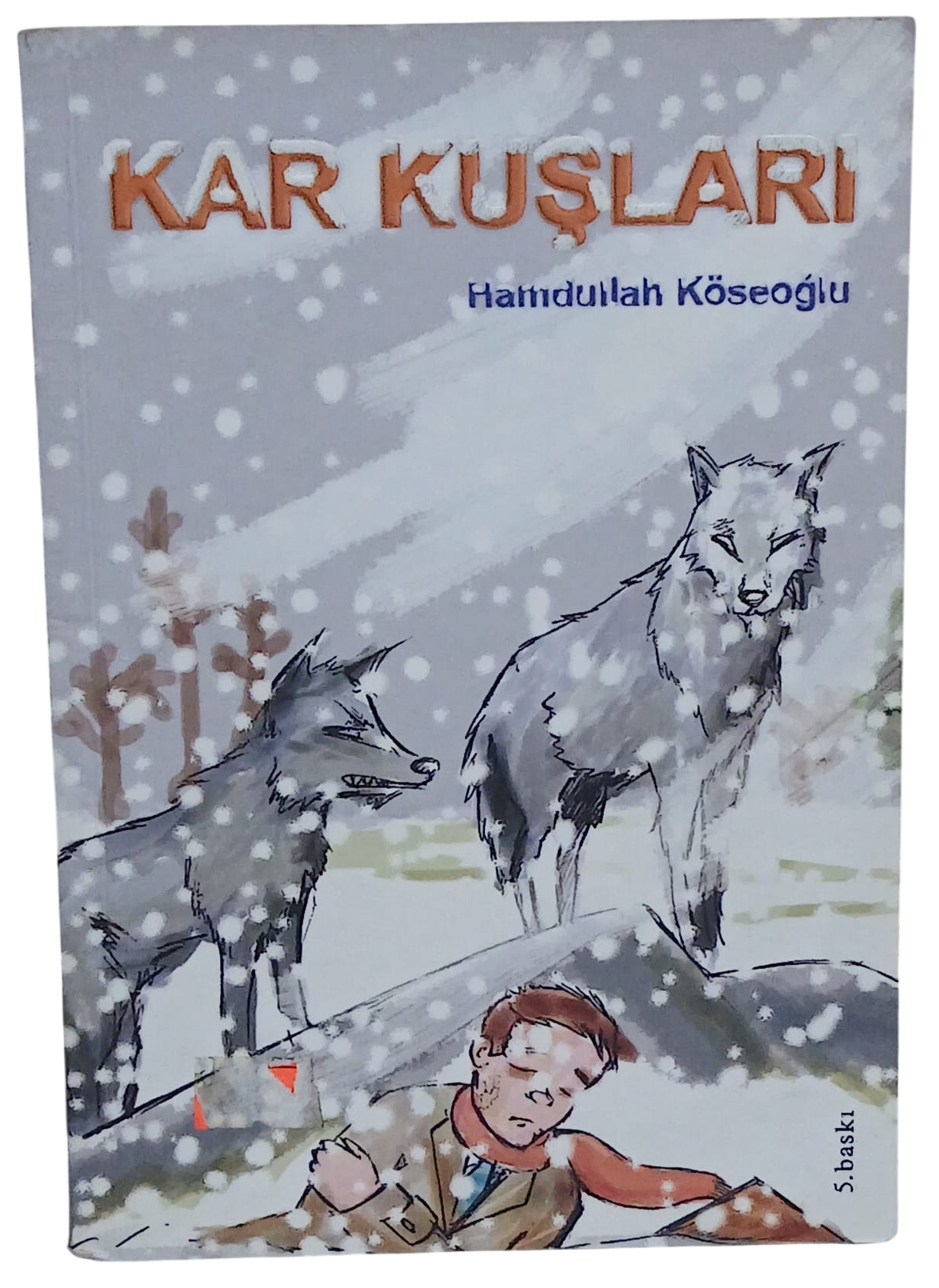 kar kuşları-Photoroom Kar Kuşları-Hamdullah Köseoğlu - Görsel 1