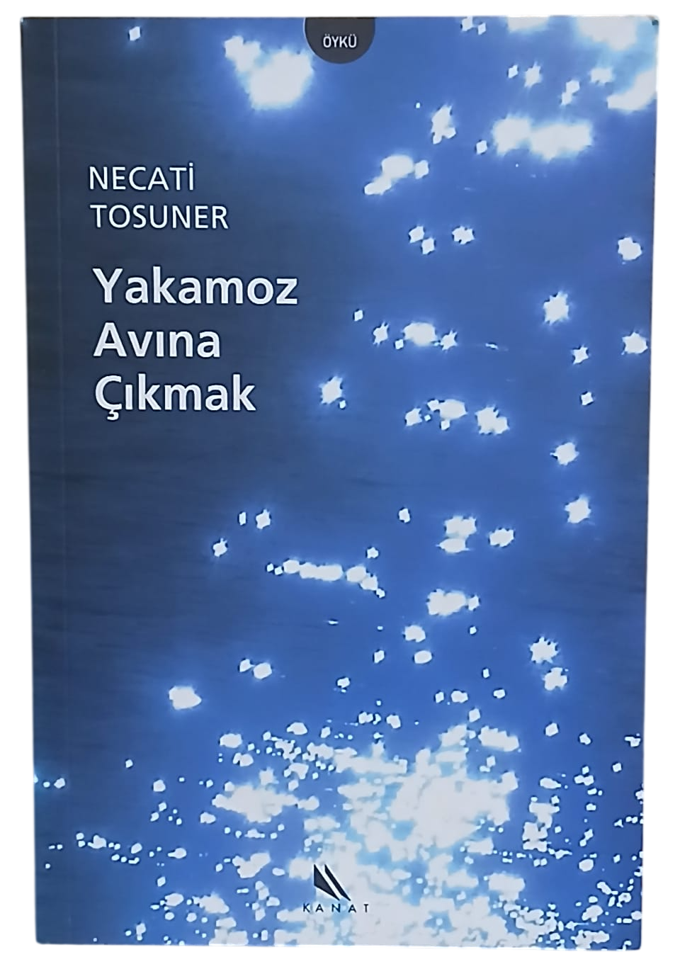 yakamaz-Photoroom Yakamoz Avına Çıkmak-Necati Tosuner/ 1.Baskı - Görsel 1