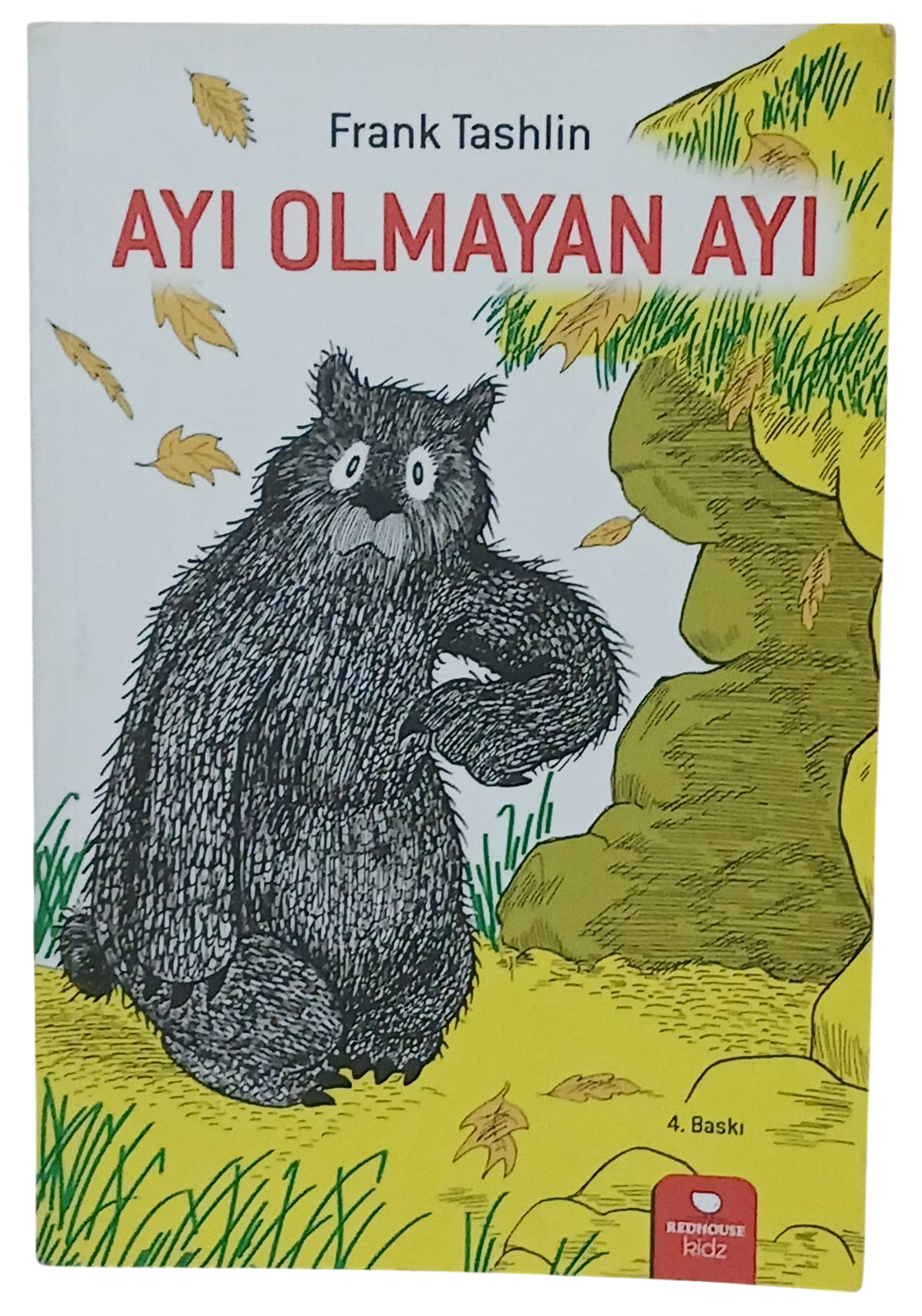 ayı olmayan ayı-Photoroom Ayı Olmayan Ayı-Frank Tashlin - Görsel 1
