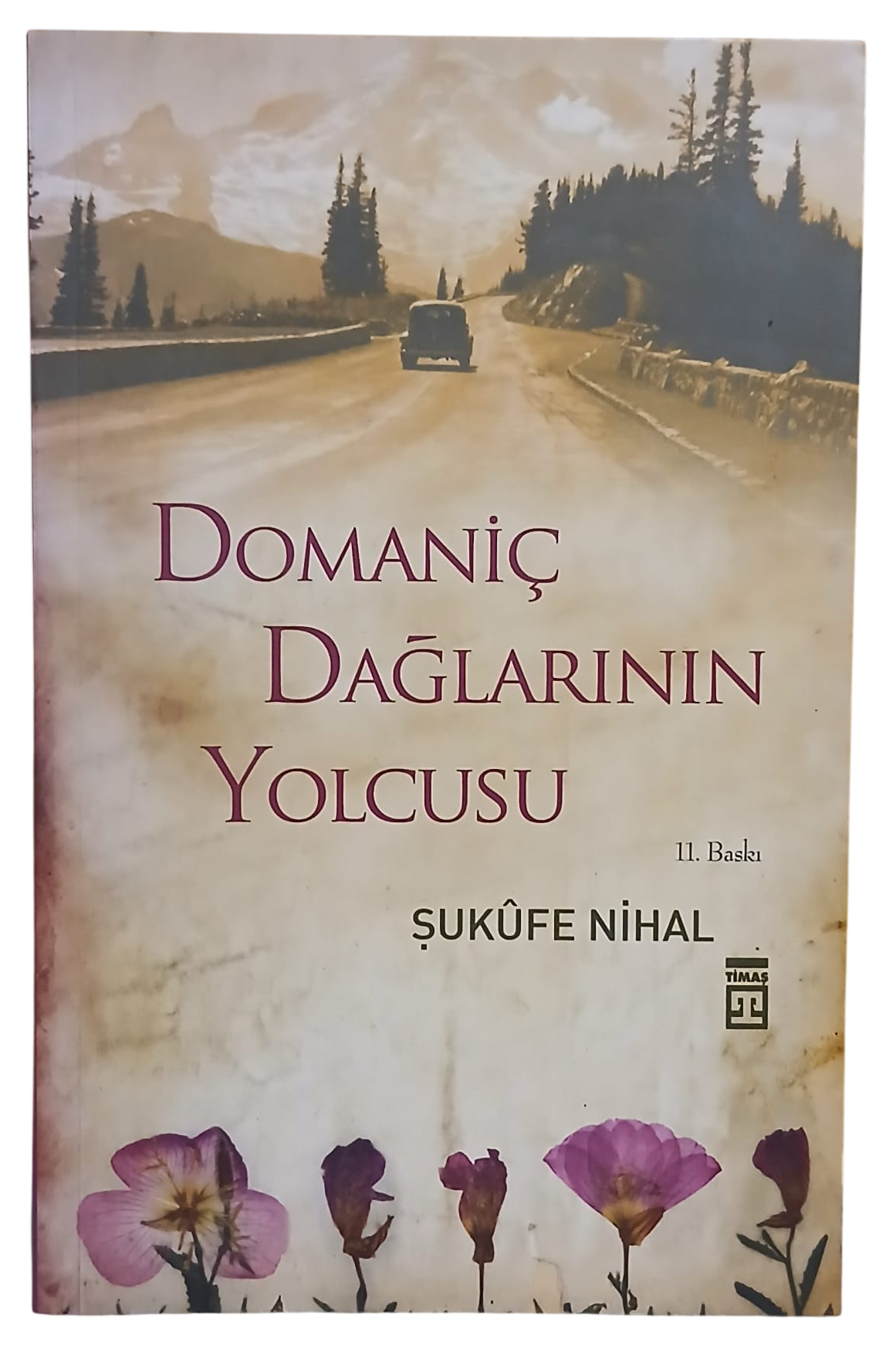 domaniç-Photoroom Domaniç Dağlarının Yolcusu-Şükufe Nihal - Görsel 1